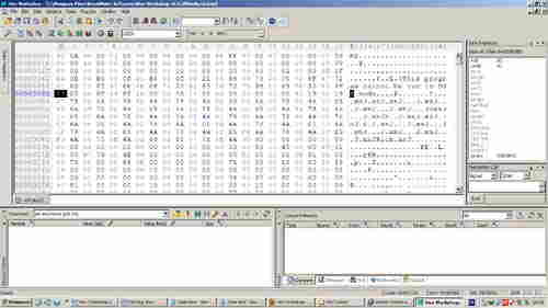 English: The Hex Workshop Hex Editor is a set of hexadecimal ...