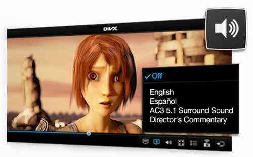 ac3 codec divx player