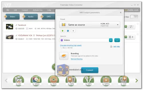 Freemake Video Converter screenshot