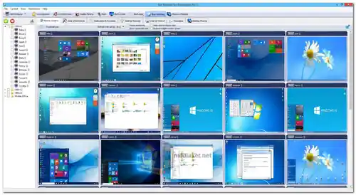 Net Monitor for Employees screenshot