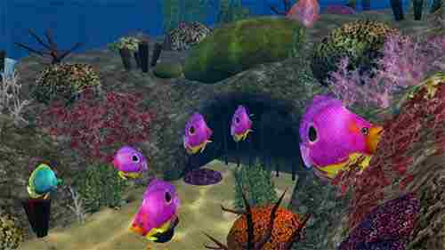 3D Aquatic Life Screensaver, Fish