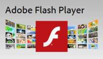 Adobe Flash Player Screenshot